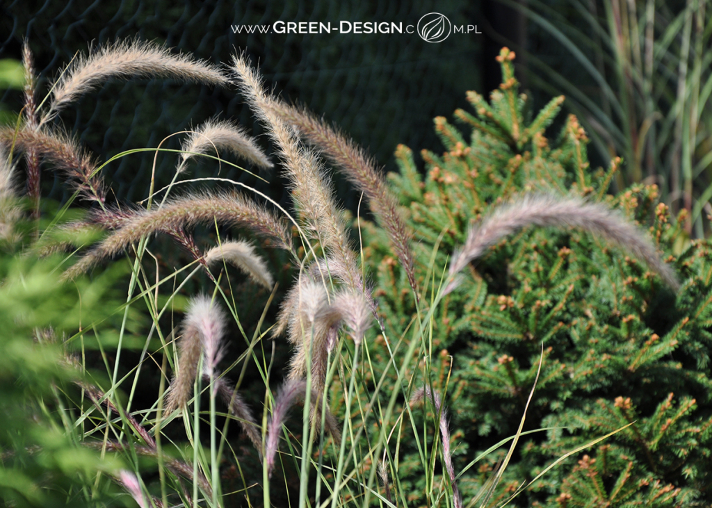 Green Design Blog - 27